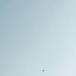 Loneliness – 15min
