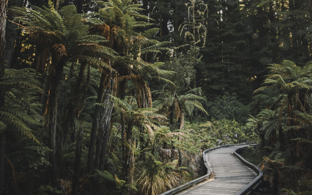 Guidance – 5min