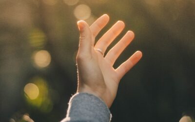 What the Bible says about our bodies – 15min