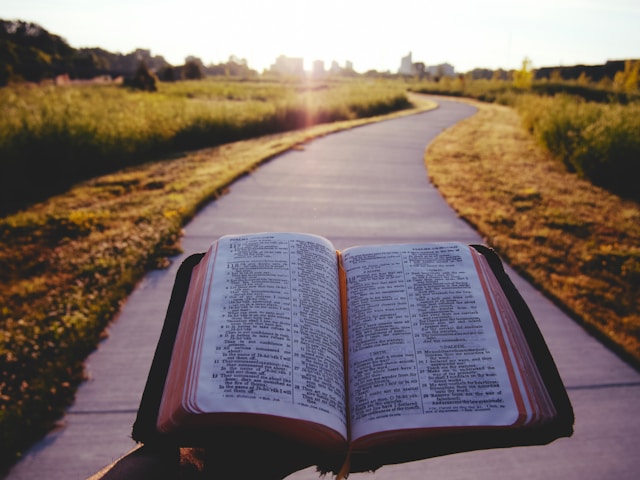 Guidance – 15min