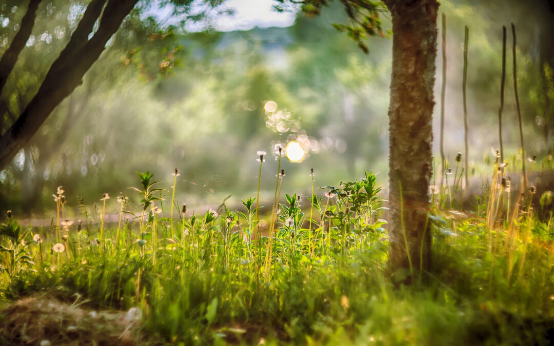 Hope – 5min