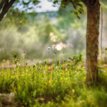Hope – 5min