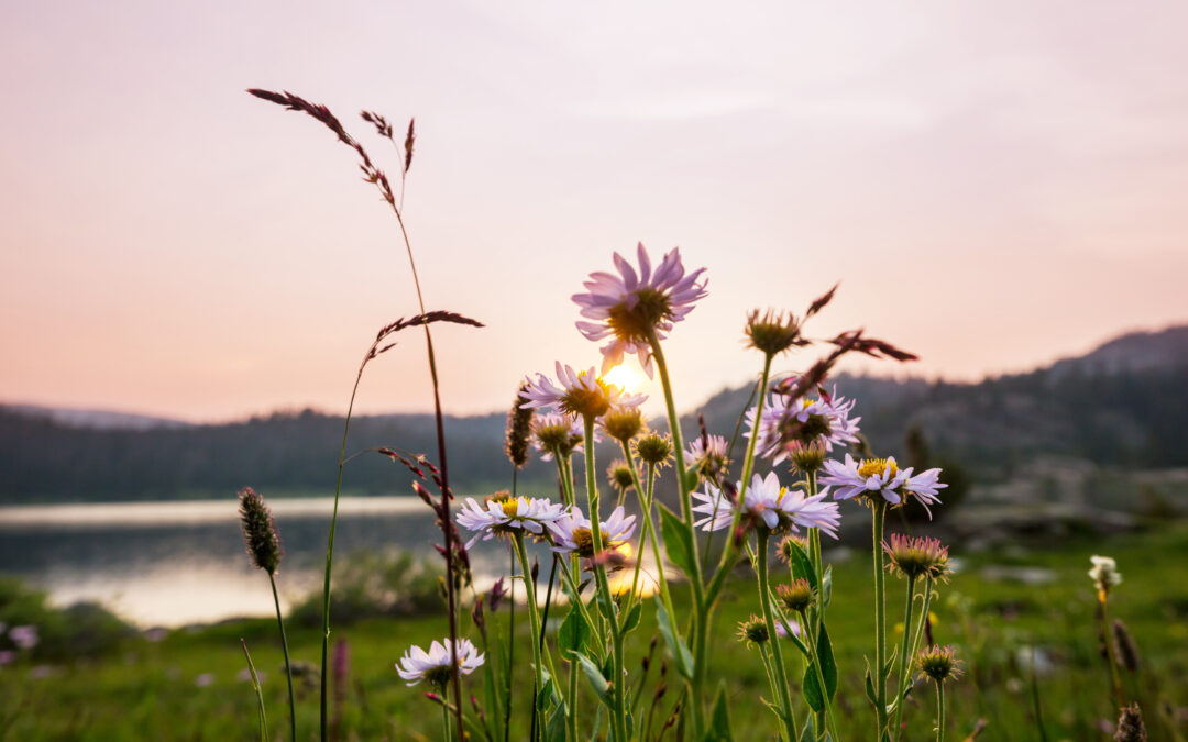 Hope – 10min