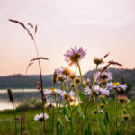 Hope – 10min
